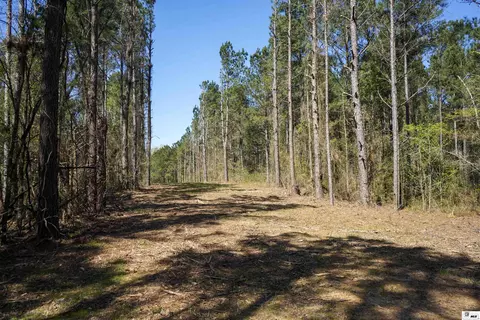 0 Ab Anderson Rd, Choudrant, LA 71227 photo 9