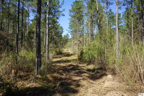 0 Ab Anderson Rd, Choudrant, LA 71227 photo 13