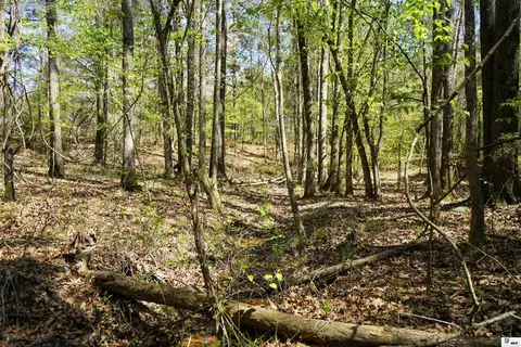 0 Ab Anderson Rd, Choudrant, LA 71227 photo 7