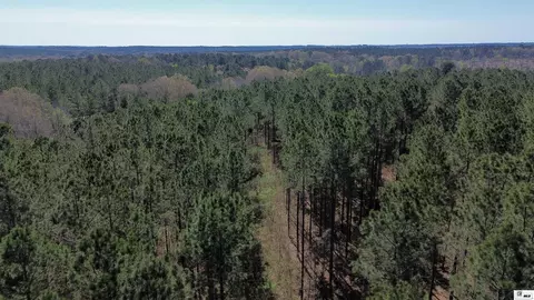 0 Ab Anderson Rd, Choudrant, LA 71227 photo 33