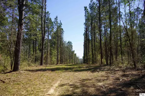 0 Ab Anderson Rd, Choudrant, LA 71227 photo 8