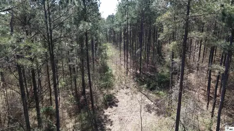 0 Ab Anderson Rd, Choudrant, LA 71227 photo 32