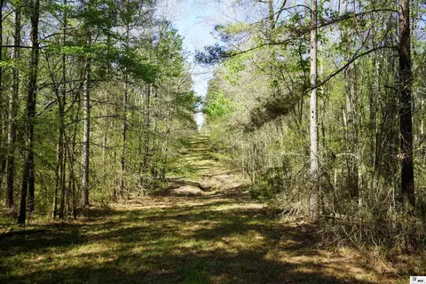 0 Ab Anderson Rd, Choudrant, LA 71227 photo 3