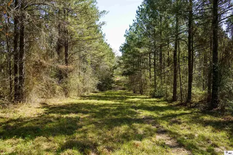 0 Ab Anderson Rd, Choudrant, LA 71227 photo 6