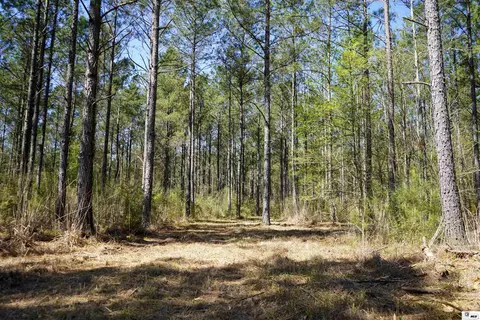 0 Ab Anderson Rd, Choudrant, LA 71227 photo 11