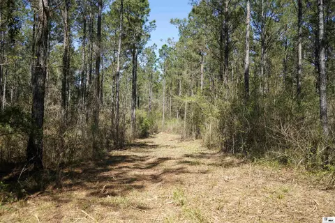 0 Ab Anderson Rd, Choudrant, LA 71227 photo 12
