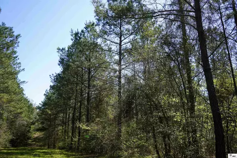 0 Ab Anderson Rd, Choudrant, LA 71227 photo 5