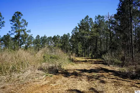 0 Ab Anderson Rd, Choudrant, LA 71227 photo 14