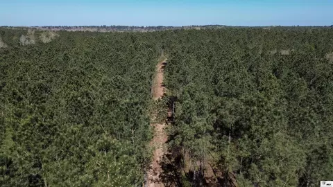 0 Ab Anderson Rd, Choudrant, LA 71227 photo 34