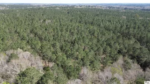 0 Ab Anderson Rd, Choudrant, LA 71227 photo 30