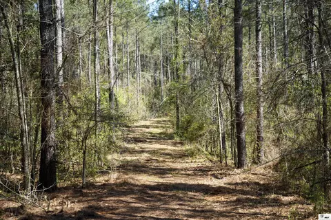 0 Ab Anderson Rd, Choudrant, LA 71227 photo 19