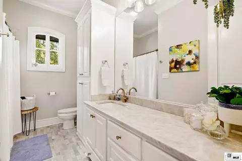 Bath - 507 Loblolly Ln, Choudrant, LA 71227 photo 4 of 6