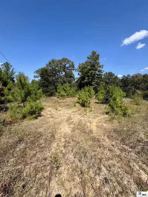 249 Kaiser Rd, Castor, LA 71016 photo 2