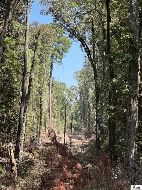 249 Kaiser Rd, Castor, LA 71016 photo 6