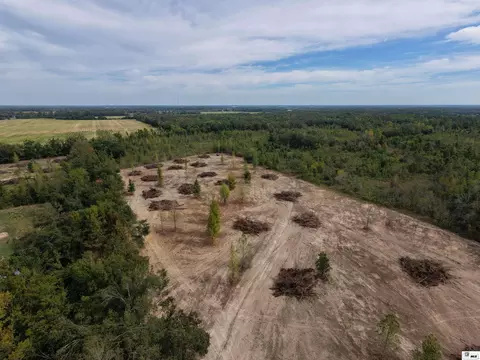 0 Bee Bayou Rd, Rayville, LA 71269