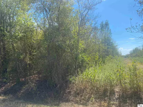 0 Forest Home Rd, Monroe, LA 71202 photo 3