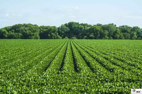 1585 Highway 892, Saint Joseph, LA 71366