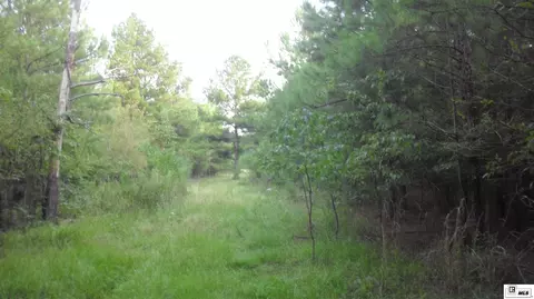 00 Keystone Rd, Monroe, LA 71203 photo 6