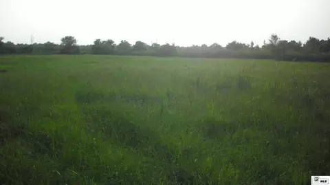 00 Keystone Rd, Monroe, LA 71203 photo 5