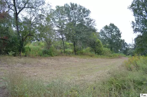 910 N Vienna St, Ruston, LA 71270 photo 8