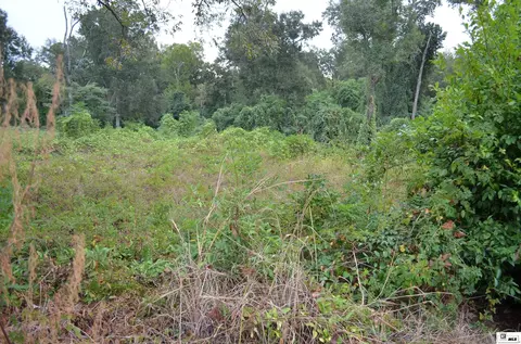 910 N Vienna St, Ruston, LA 71270 photo 3