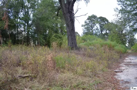 910 N Vienna St, Ruston, LA 71270 photo 6
