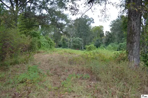 910 N Vienna St, Ruston, LA 71270 photo 5