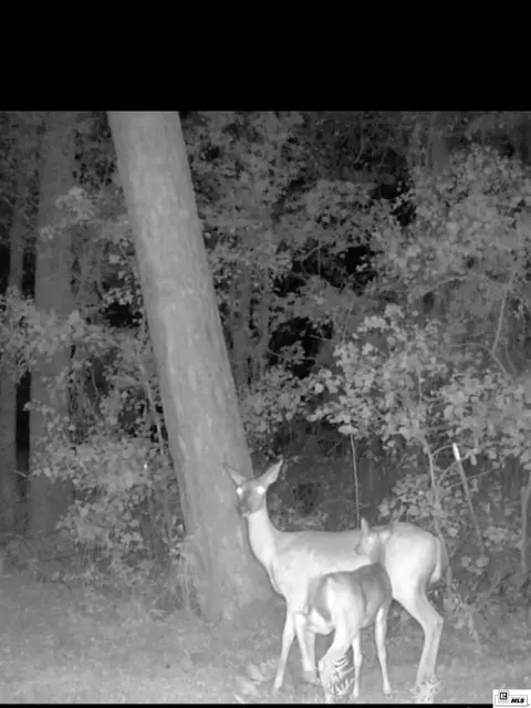 Other - 719 Caples Rd, West Monroe, LA 71292 photo 14 of 16