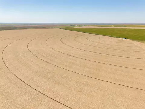 Other - Vincent Farms, Canyon, TX 79015 photo 80 of 98