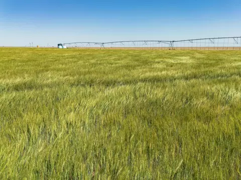 Other - Vincent Farms, Canyon, TX 79015 photo 86 of 98