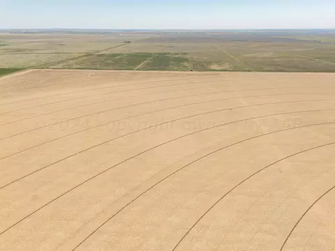 Other - Vincent Farms, Canyon, TX 79015 photo 84 of 98