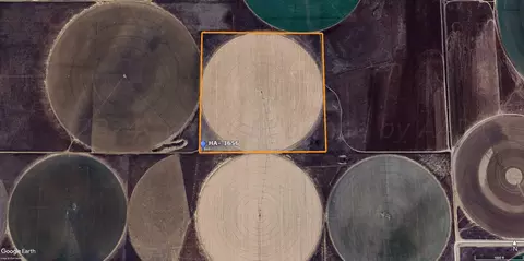 Hartley, Hartley, TX 79022