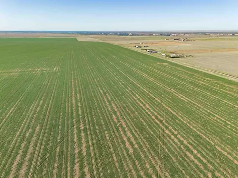 Friemel 1, Claude, TX 79019