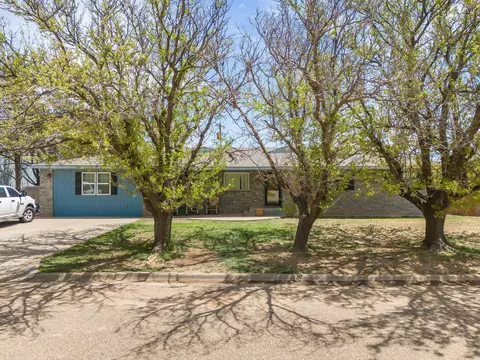 1205 Triangle Drive Sunray Tx 79086 Dr, Sunray, TX 79086 photo 1