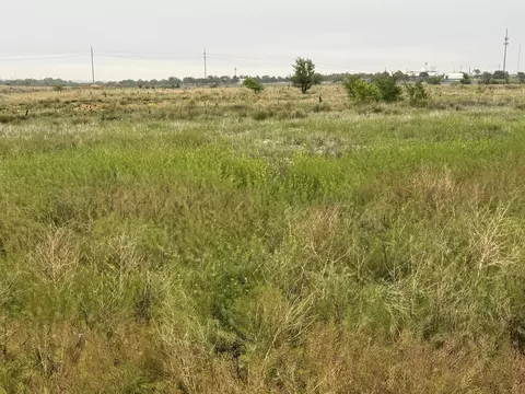 203 NW 16th Avenue Amarillo Tx 79101 Ave, Amarillo, TX 79101