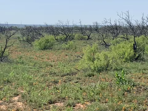 0 Cedar Creek Road Valle De Oro Tx 79010 Rd, Valle De Oro, TX 79010
