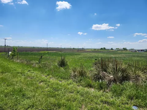 County Rd 307, Panhandle, TX 79068 photo 3