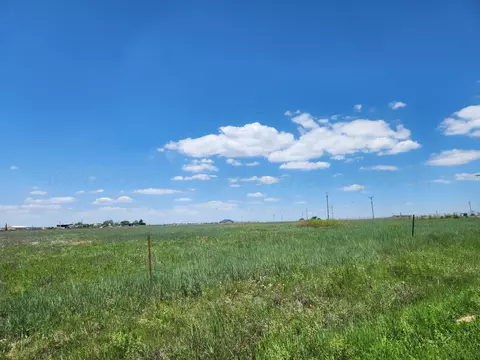 County Rd 307, Panhandle, TX 79068 photo 2