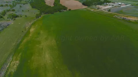 Long Dry Creek Hunting, Shamrock, TX 79079