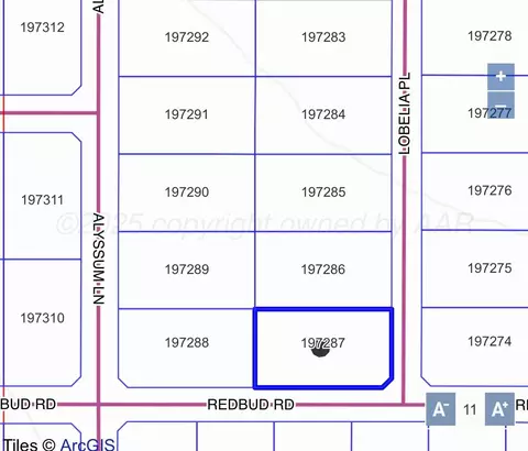 14586 Lobelia Place Amarillo Tx 79119-1636 Pl, Amarillo, TX 79119