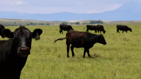 48999 County Road 48 Other - Not In List Co 81059, Model, CO 81059