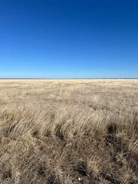 Fm 722, Dumas, TX 79029