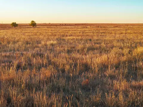 Cr 509, Hereford, TX 79045