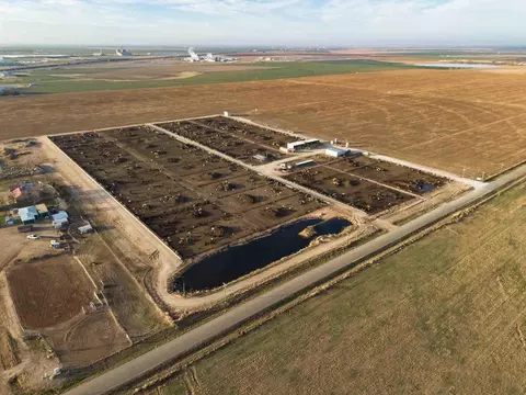 Crow Cattle Growyard, Hereford, TX 79045