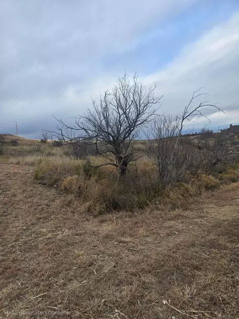Harris Lane, Fritch, TX 79036