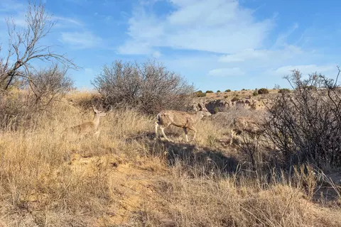 2 23 Acre Timbercreek Tract Amarillo Tx 79118, Amarillo, TX 79118 photo 15
