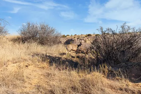 2 23 Acre Timbercreek Tract Amarillo Tx 79118, Amarillo, TX 79118 photo 14