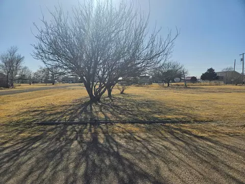 401 Hazel Avenue Panhandle Tx 79068-1891 Ave, Panhandle, TX 79068 photo 1