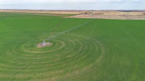 Dodd Farm ±651.6ac NW Briscoe, Mobeetie, TX 79061