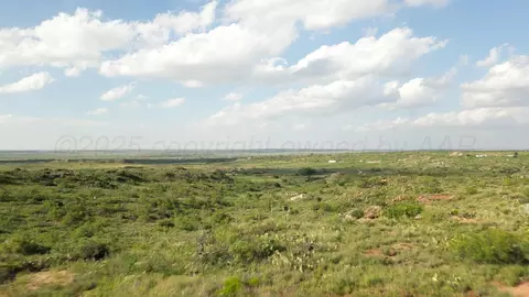 20700 Murray Loop Amarillo Tx 79124 Loop, Amarillo, TX 79124 photo 8
